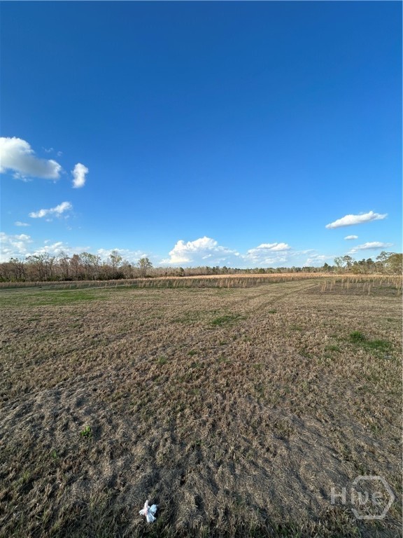 0 Scott Store Road Millen, GA 30442 - Photo 4 of 12