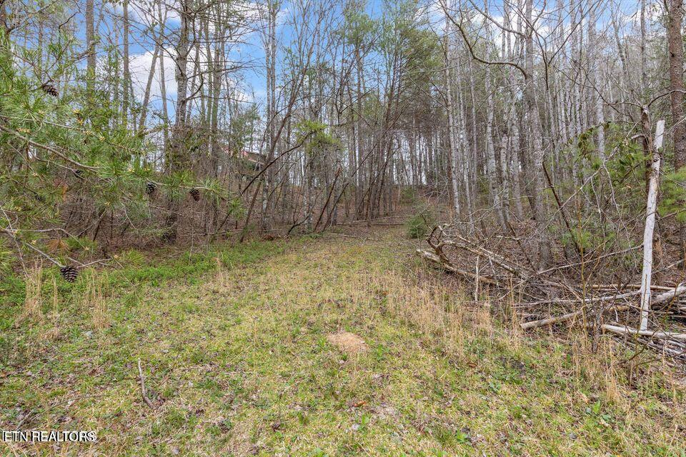 2009 Tellico Reliance Road Reliance, TN 37369 - Photo 41 of 51 20250523005553722307000000-o