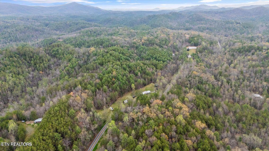 2009 Tellico Reliance Road Reliance, TN 37369 - Photo 46 of 51 20250523005605687918000000-o