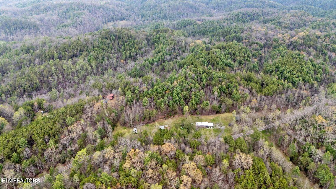 2009 Tellico Reliance Road Reliance, TN 37369 - Photo 48 of 51 20250523005609721870000000-o