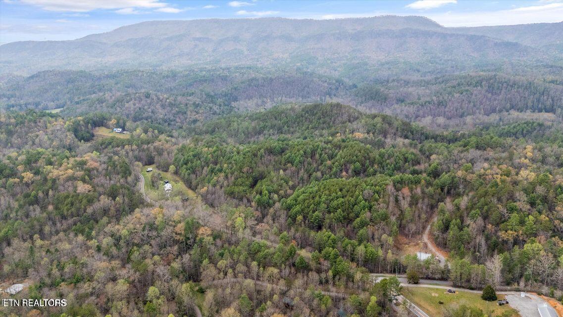 2009 Tellico Reliance Road Reliance, TN 37369 - Photo 49 of 51 20250523005611392269000000-o