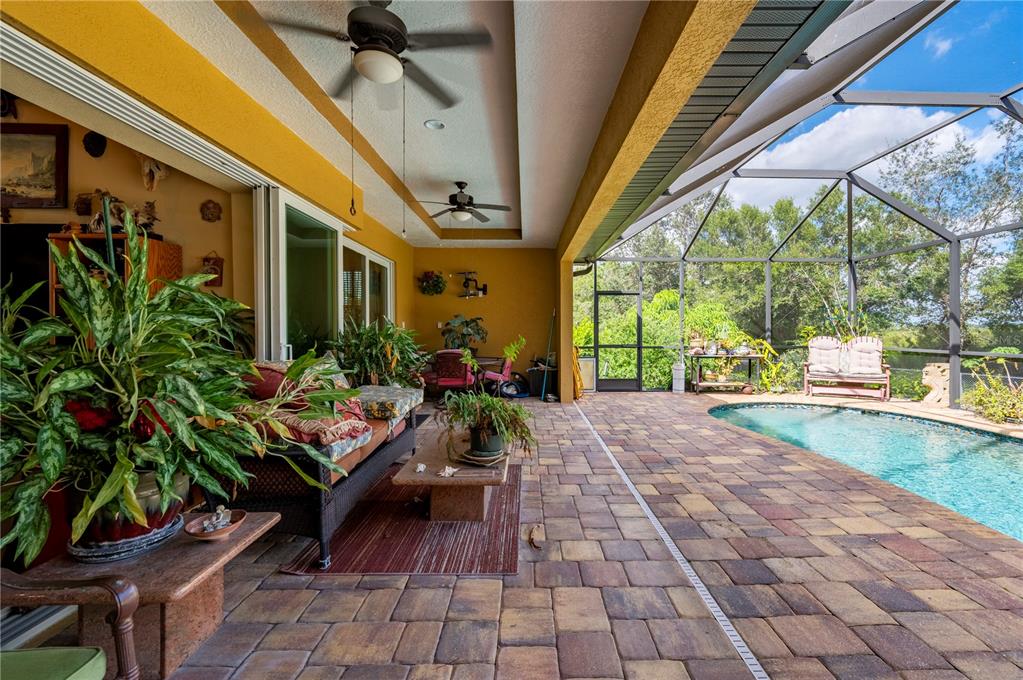 38881 Washington Loop Road Punta Gorda, FL 33982 - Photo 35 of 63 a view of yard with patio
