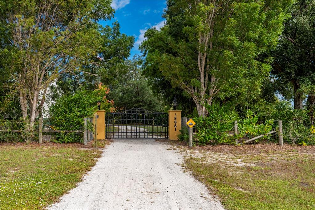 38881 Washington Loop Road Punta Gorda, FL 33982 - Photo 4 of 63 a view of a park with large trees