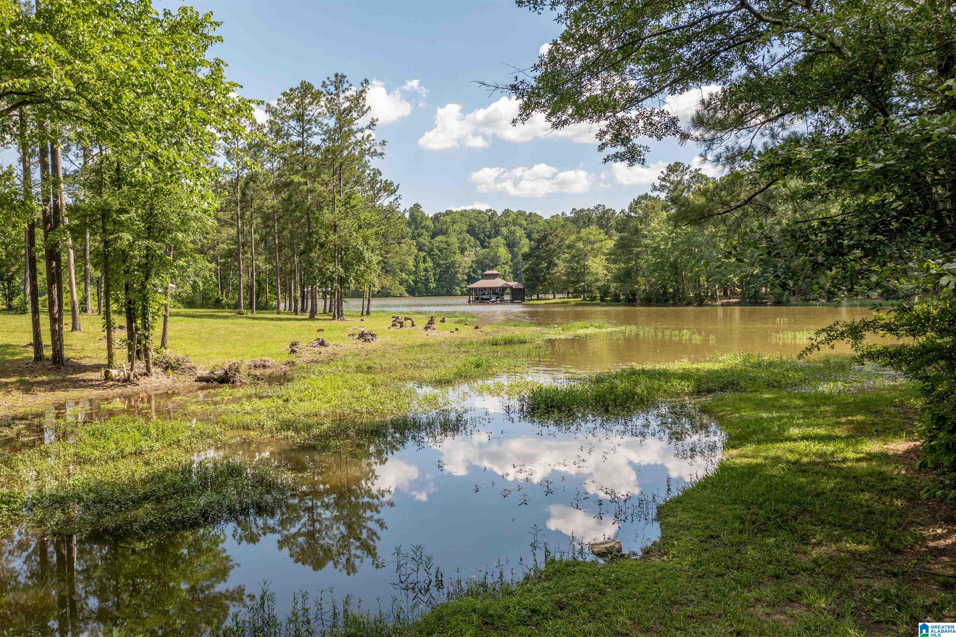 89 Golden Pond Road, Unit 9 Ashville, AL 35953 - Photo 1 of 35