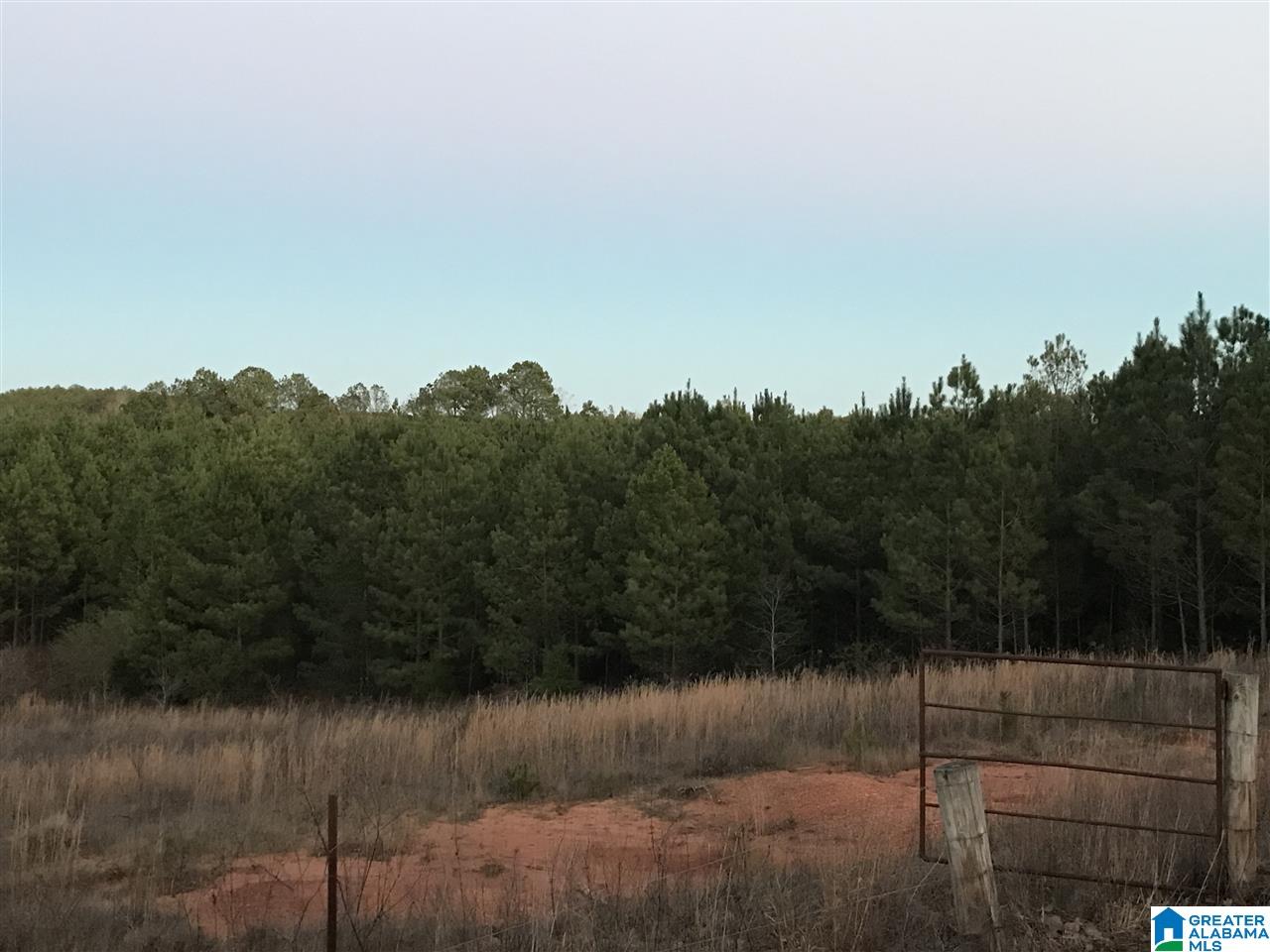16056 House Road, Unit 16056 Brookwood, AL 35444 - Photo 7 of 11
