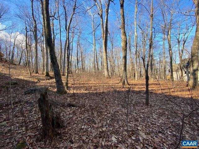 a view of a backyard with large trees