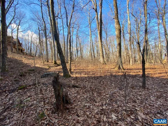 a view of backyard with green space