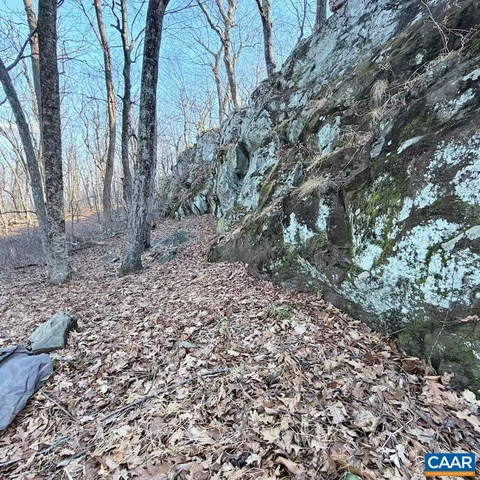 a big yard with lots of green space