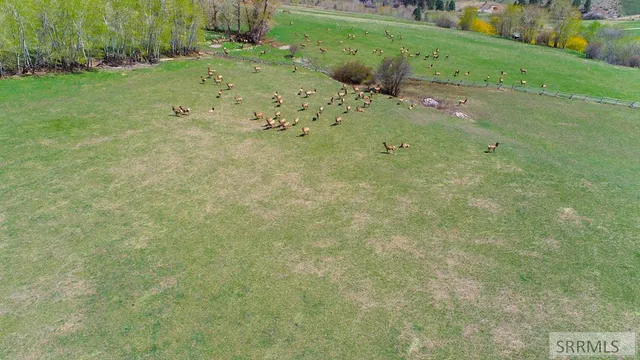 $499,000 | Tbd 4th Of July Creek Road, North Fork, ID 83466