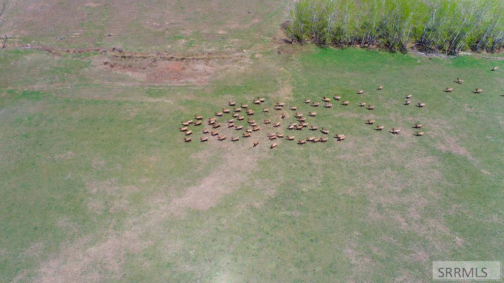 Tbd 4th Of July Creek Road North Fork, ID 83466 - Photo 18 of 23