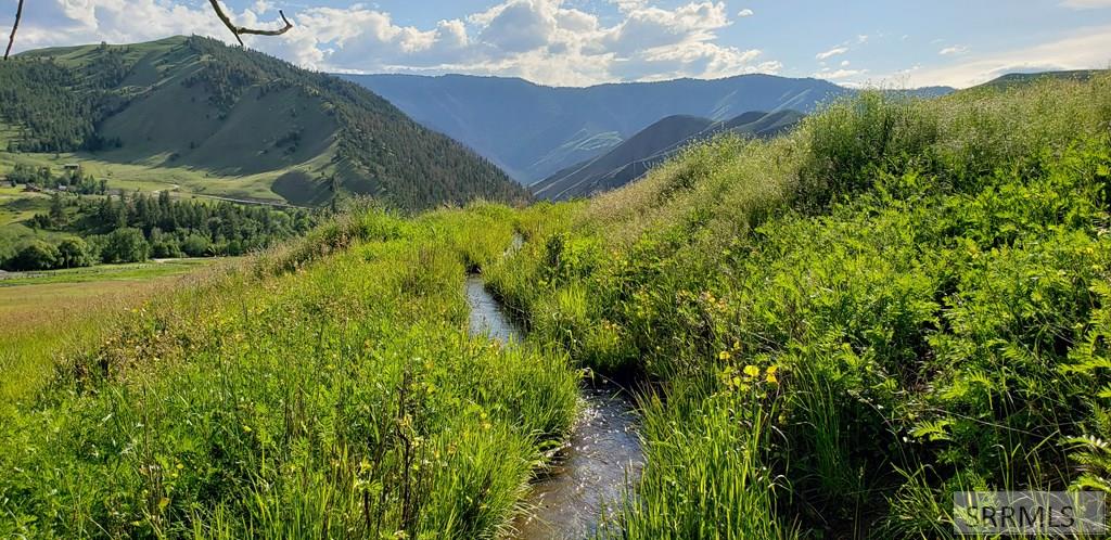 Tbd 4th Of July Creek Road North Fork, ID 83466 - Photo 2 of 23