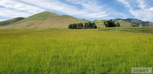 $499,000 | Tbd 4th Of July Creek Road, North Fork, ID 83466