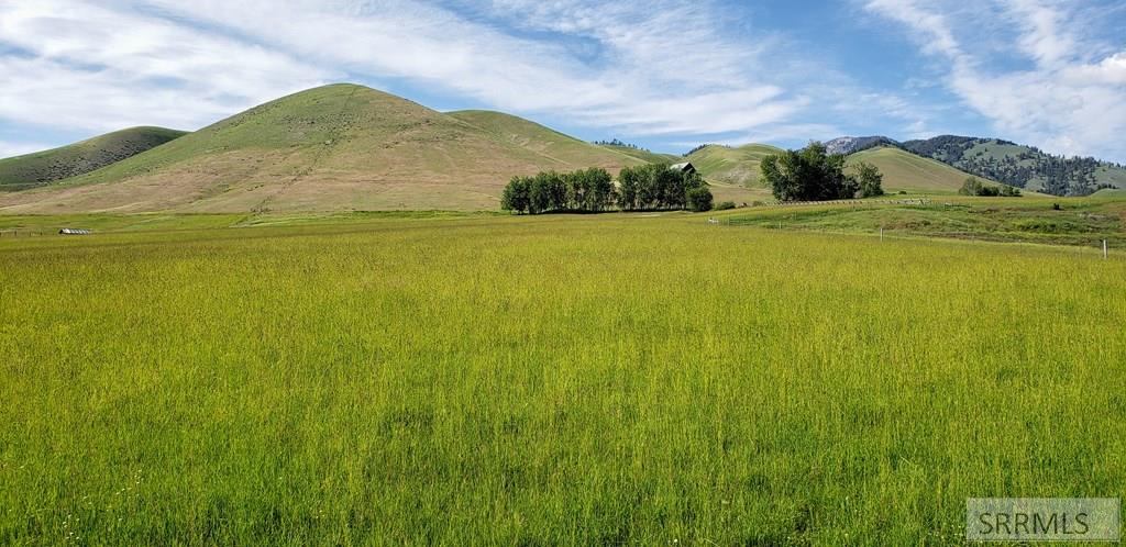 Tbd 4th Of July Creek Road North Fork, ID 83466 - Photo 9 of 23