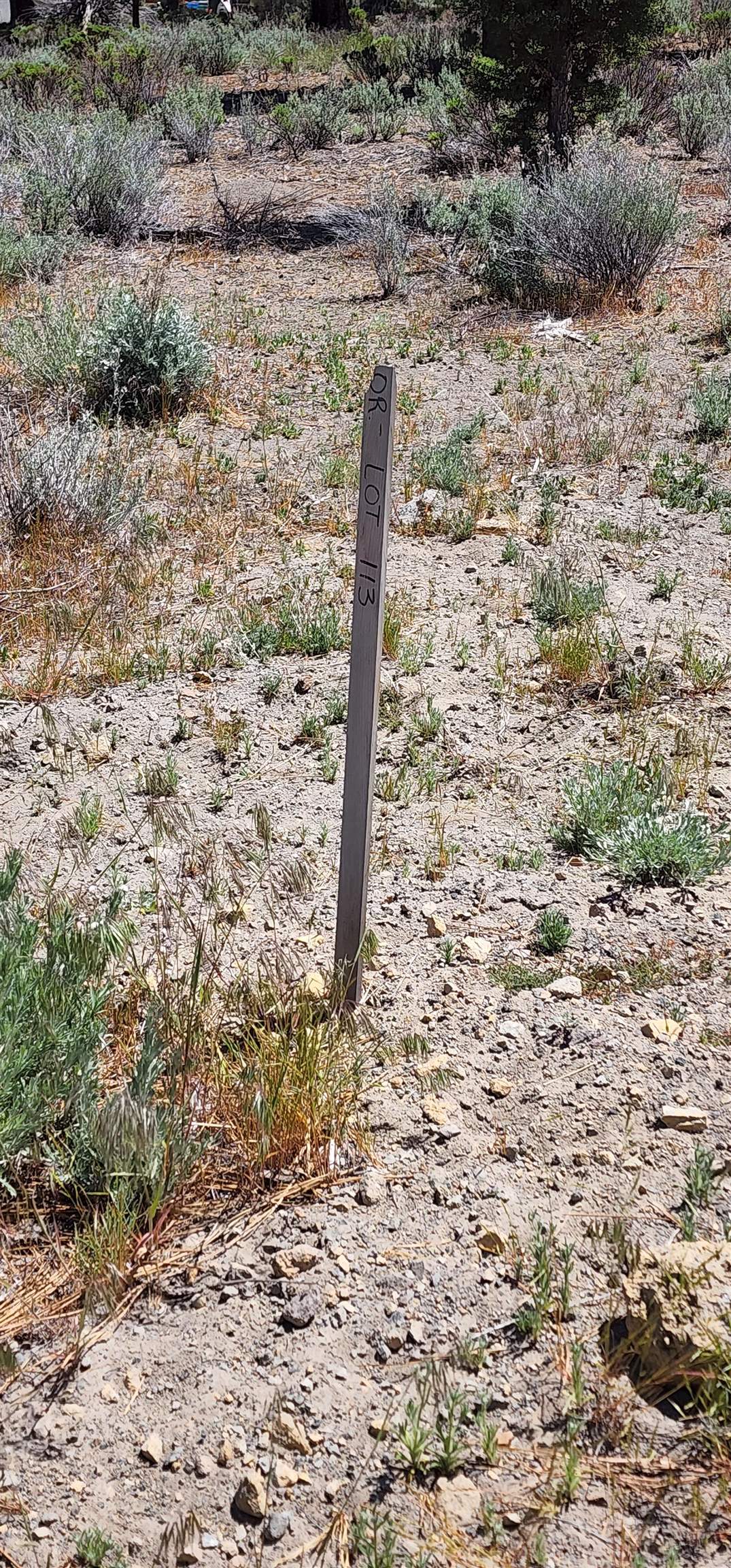 Lot 113 Buffalo Road Weed, CA 96094 - Photo 12 of 13 Gallery Image 12