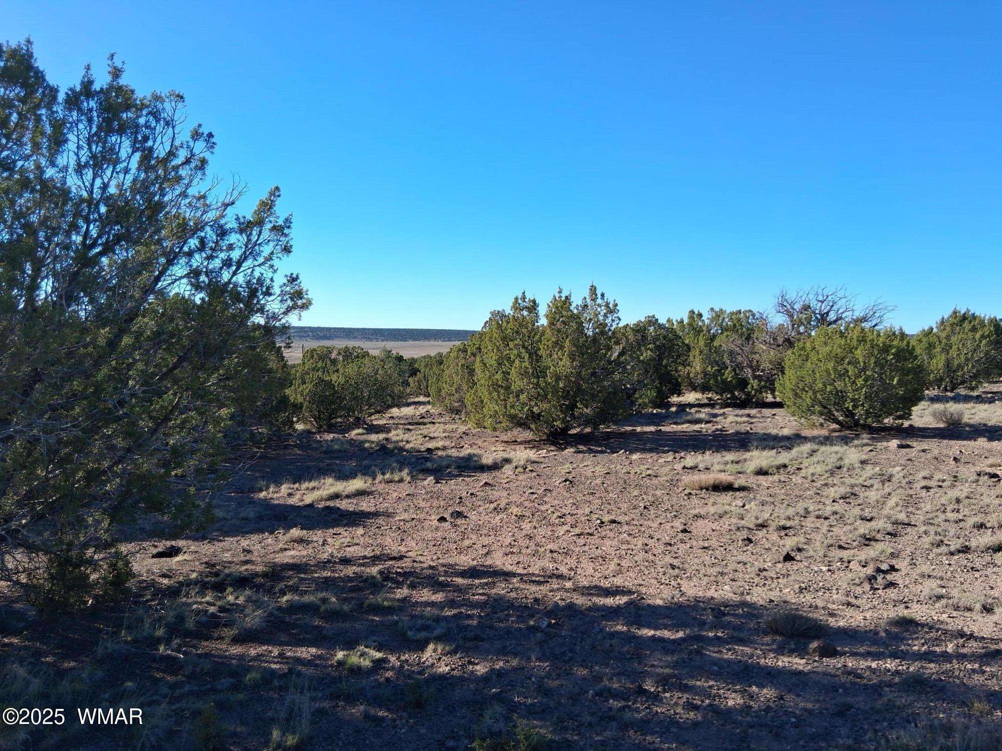 3 North 8716th Concho, AZ 85924 - Photo 2 of 11 a view of a dirt road with trees in the background