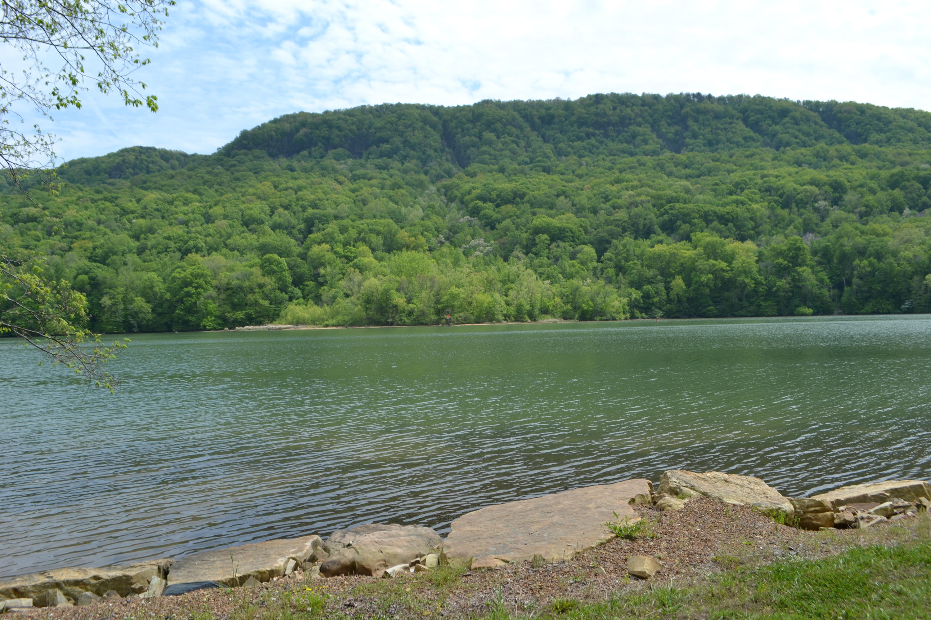 10416 Mullins Cove Road Whitwell, TN 37397 - Photo 11 of 45 DSC_0035