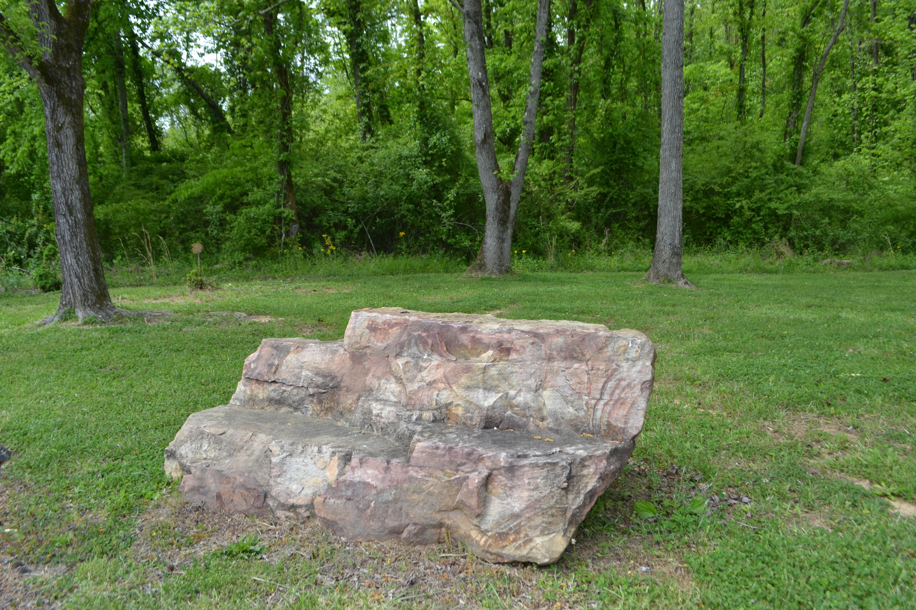 10416 Mullins Cove Road Whitwell, TN 37397 - Photo 12 of 45 DSC_0028