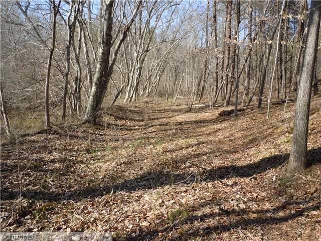 14 Matthews Road Pilot Mountain, NC 27041 - Photo 3 of 16 Other. Land near Tom s Creek
