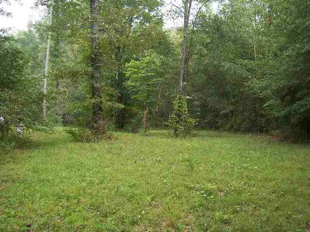 1041 Coffee Road Walhalla, SC 29691 - Photo 3 of 5 Gallery Image 3