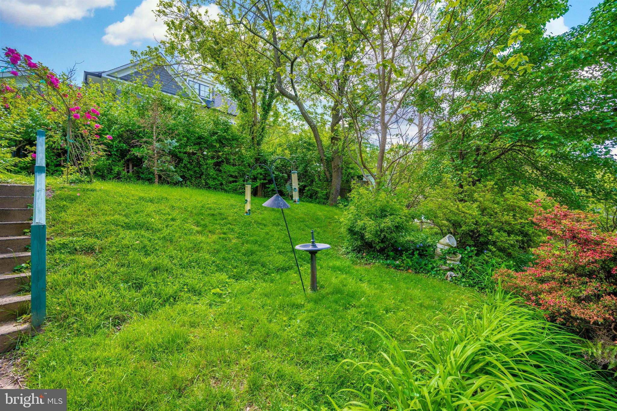 7921 Chelton Road Bethesda, MD 20814 - Photo 50 of 55 Backyard
