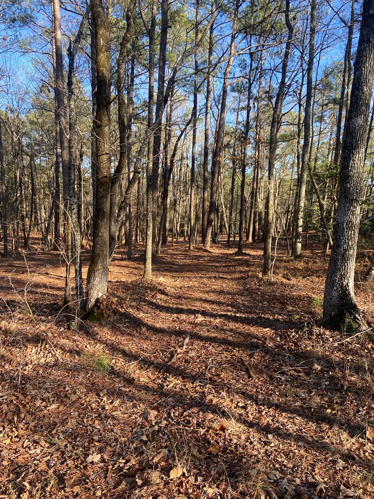 0 Kings Gap Road Pine Mountain, GA 31822 - Photo 3 of 19 Gallery Image 3