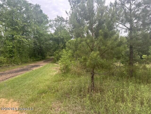 1048 Williamson Road Wesson, MS 39191 - Photo 7 of 11 land 04
