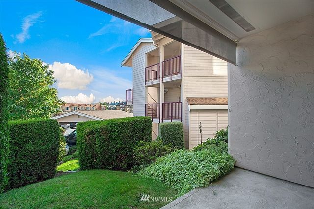 a view of a back yard