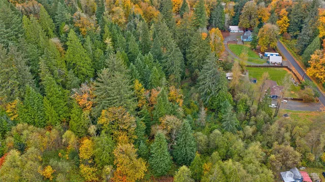 a view of a house with a lush green forest