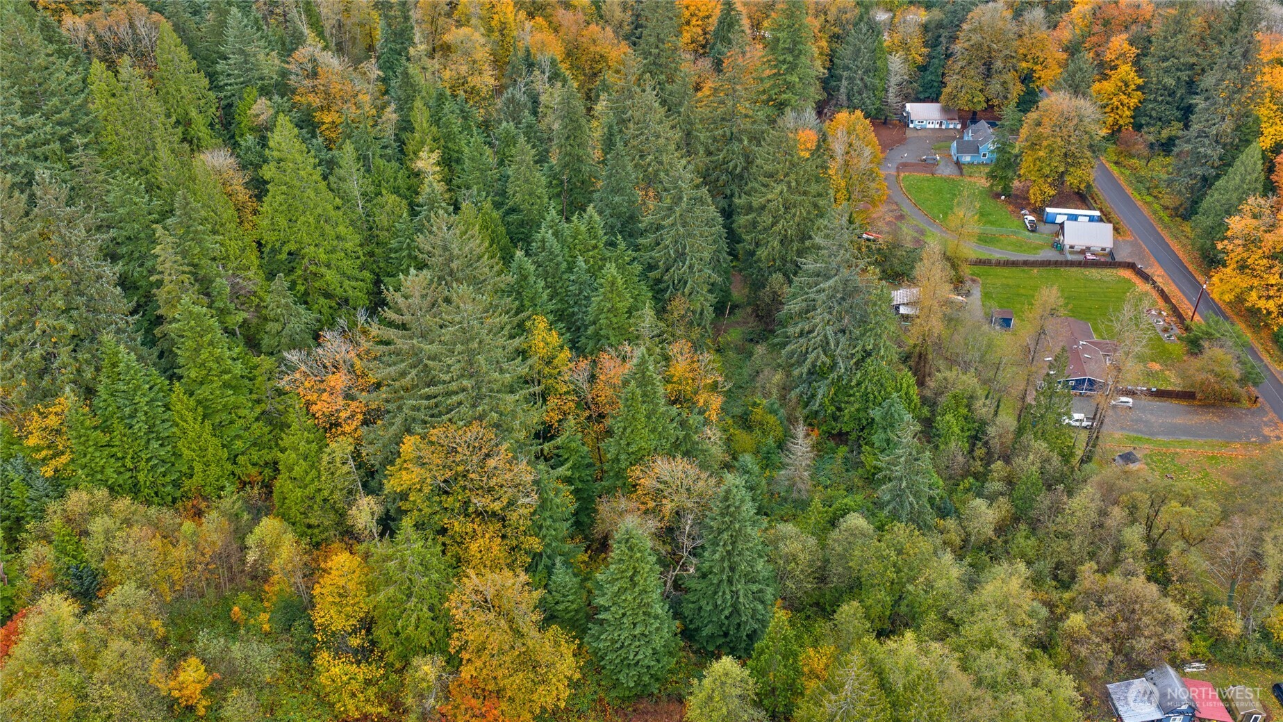 135 415th Way Southeast North Bend, WA 98045 - Photo 12 of 17 an aerial view of residential houses with outdoor space and trees