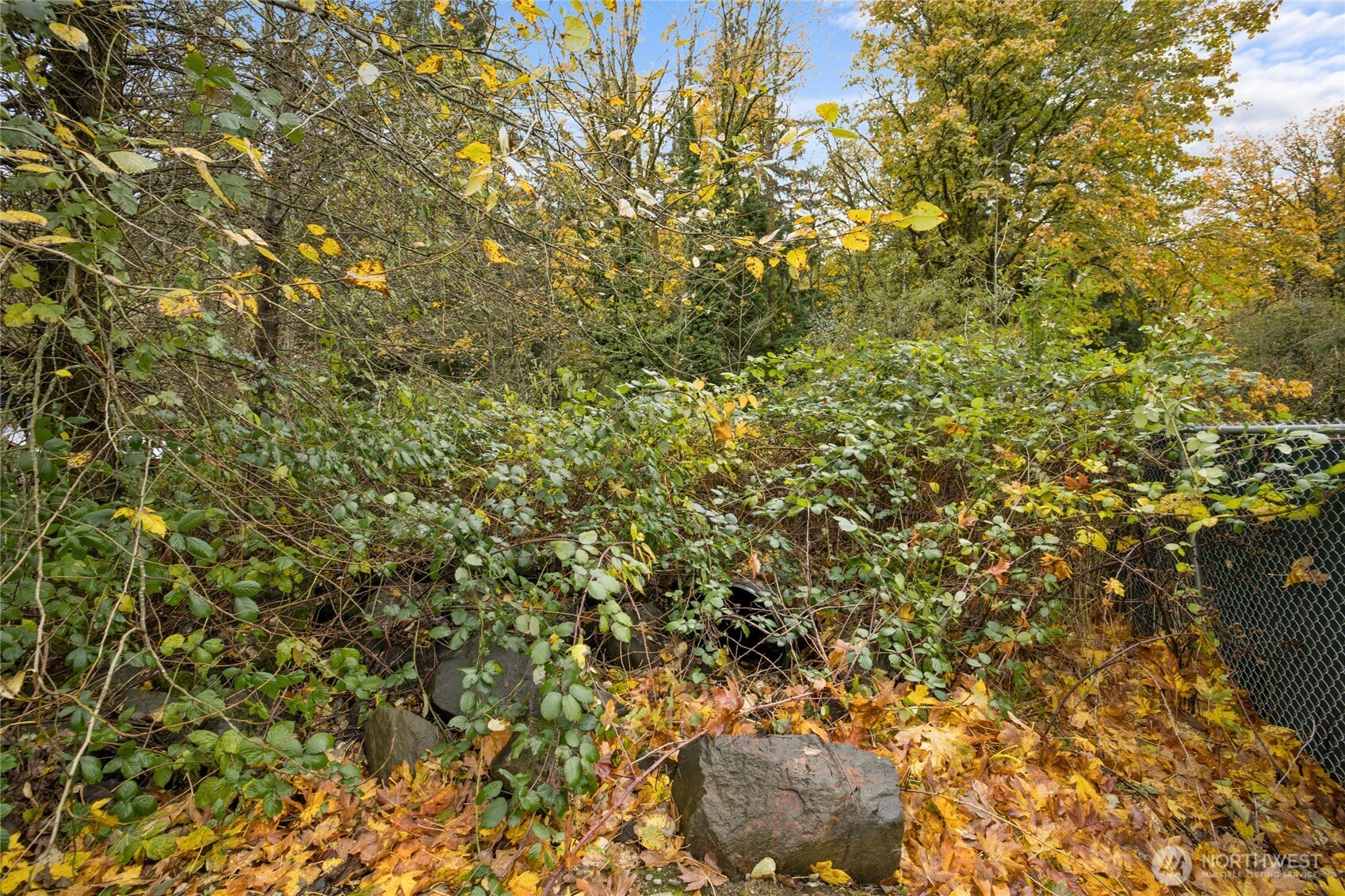 135 415th Way Southeast North Bend, WA 98045 - Photo 7 of 17 a view of a tree