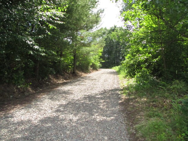 500 Hall Road Afton, NY 13730 - Photo 10 of 32 Gallery Image 10