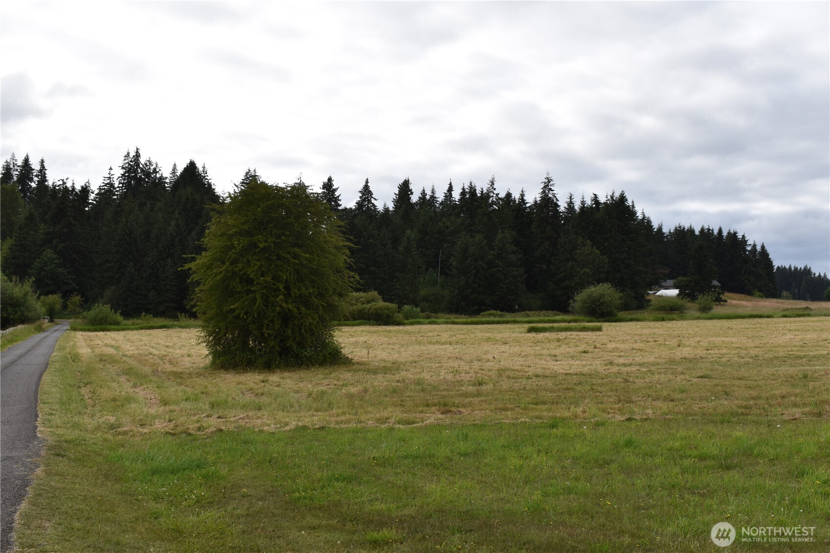 12345 Case Road Southwest Olympia, WA 98512 - Photo 6 of 35