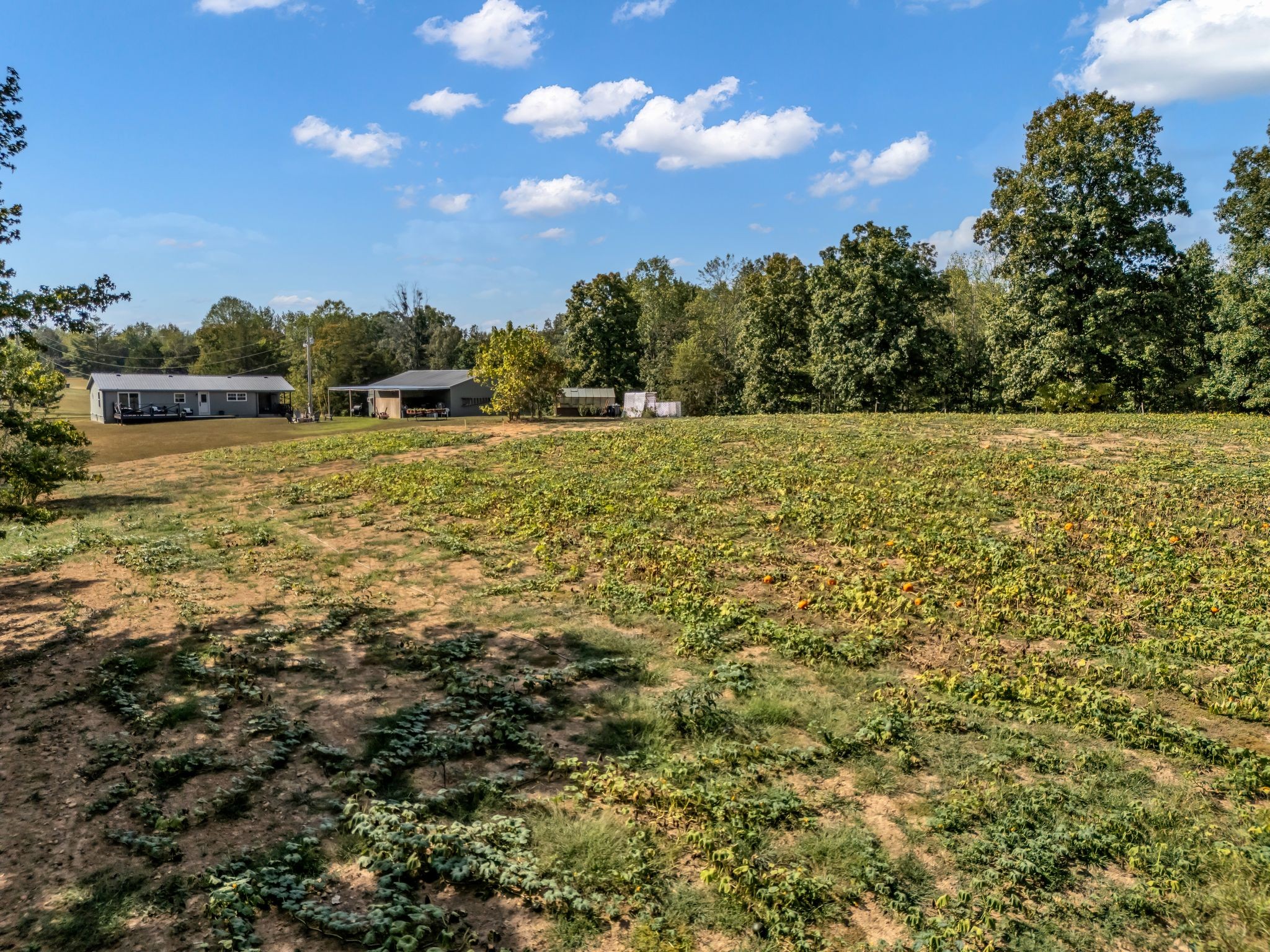 3016 B Academy Road Portland, TN 37148 - Photo 41 of 43
