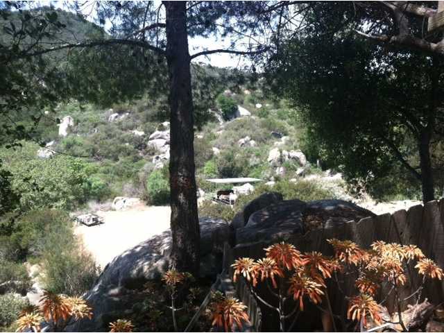 27622 Cool Water Ranch Road Valley Center, CA 92082 - Photo 13 of 20 View of horse area from house