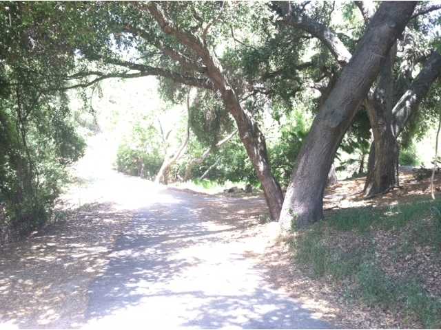 27622 Cool Water Ranch Road Valley Center, CA 92082 - Photo 4 of 20 Approaching house