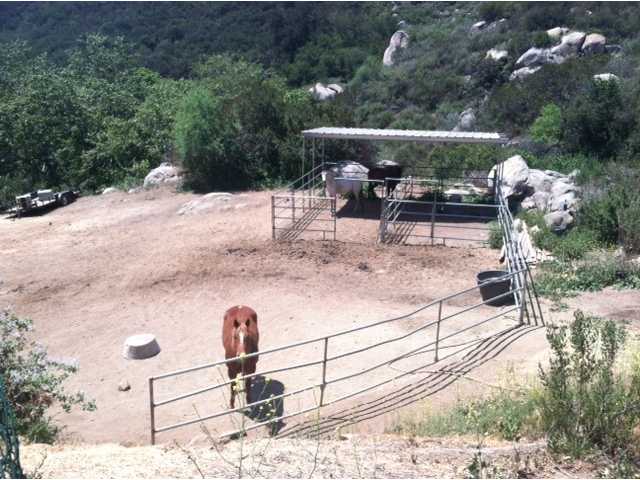 27622 Cool Water Ranch Road Valley Center, CA 92082 - Photo 7 of 20 Horse property