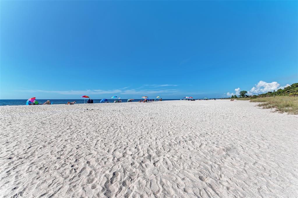 804 Turf Street Venice, FL 34285 - Photo 82 of 94