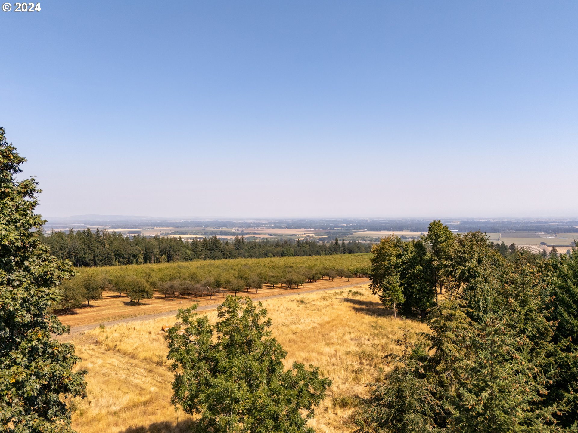 53 Franquette Amity, OR 97101 - Photo 26 of 48