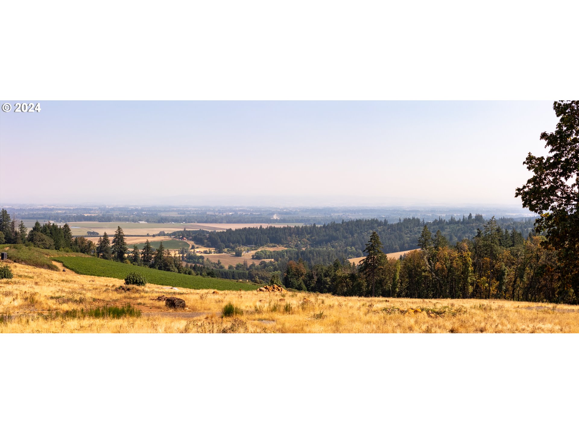 53 Franquette Amity, OR 97101 - Photo 38 of 48