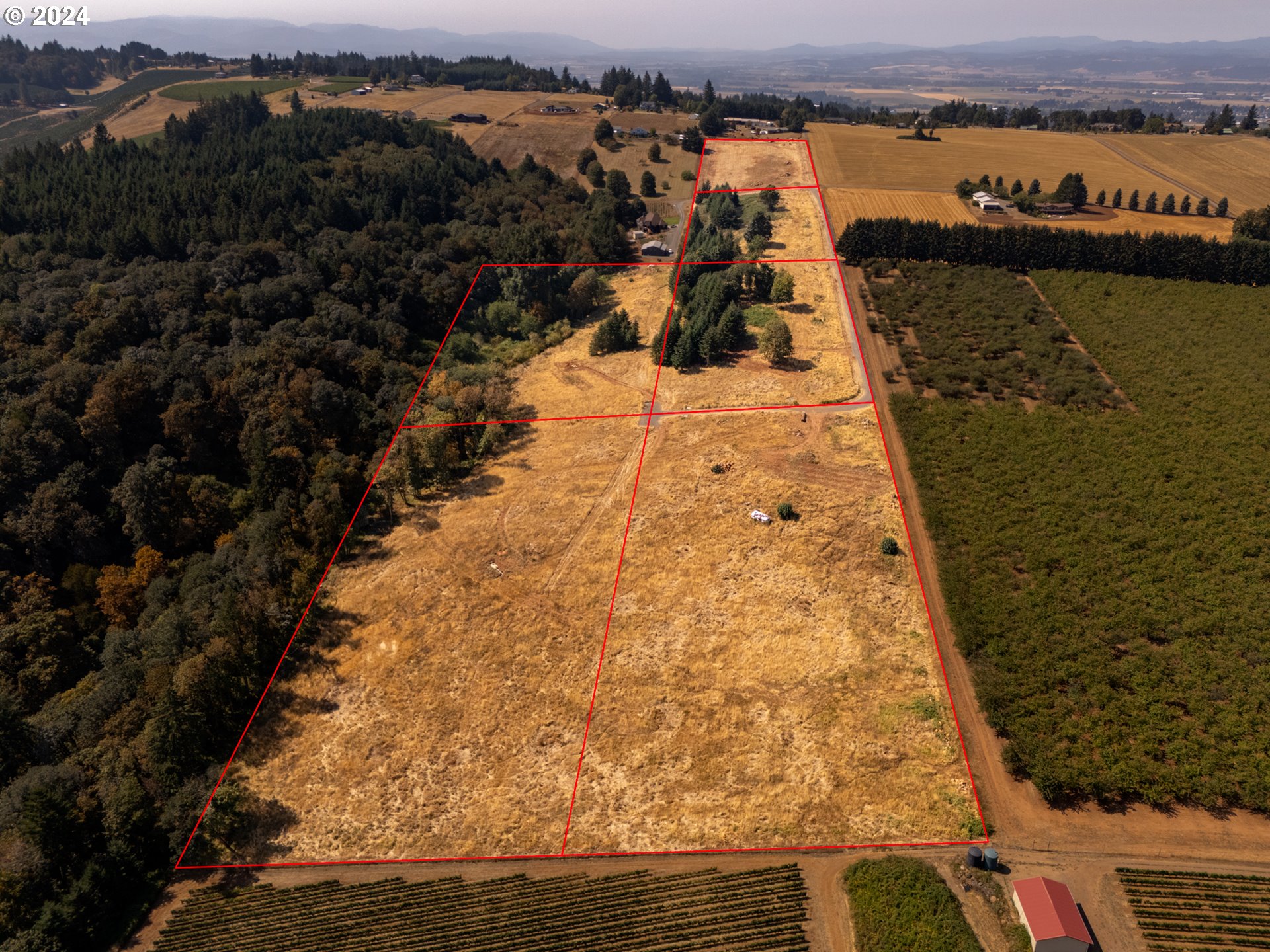 53 Franquette Amity, OR 97101 - Photo 4 of 48