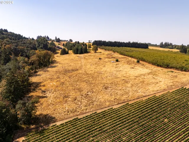 $2,750,000 | 53 Franquette, Amity, OR 97101