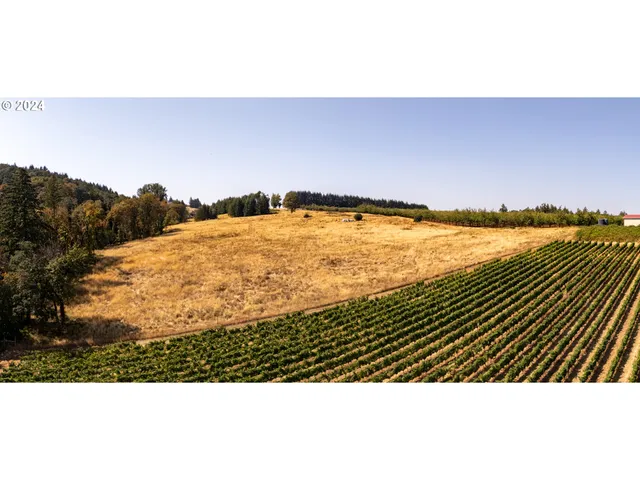 $2,750,000 | 53 Franquette, Amity, OR 97101