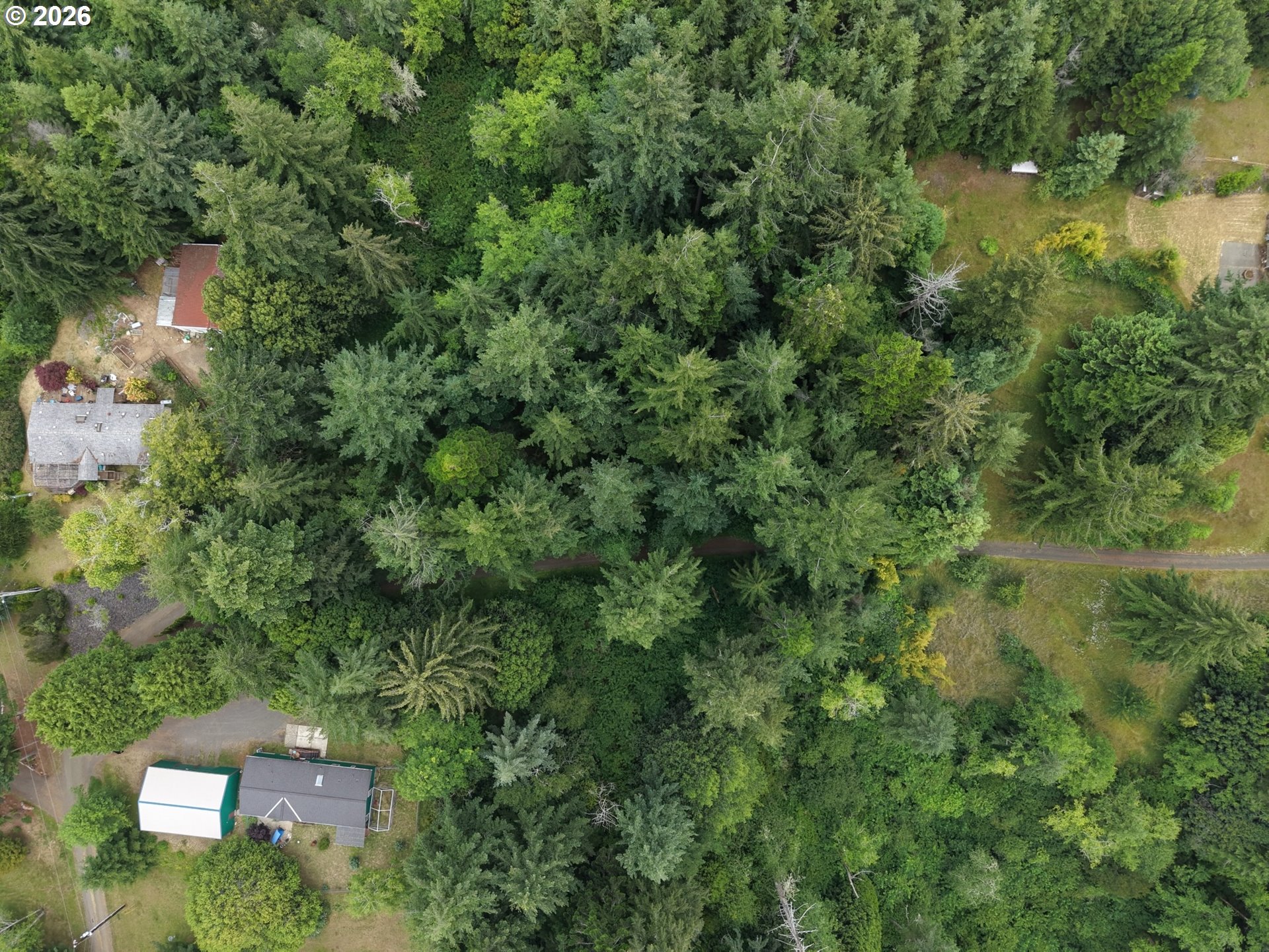 0 Misty Ridge Lane North Bend, OR 97459 - Photo 12 of 12