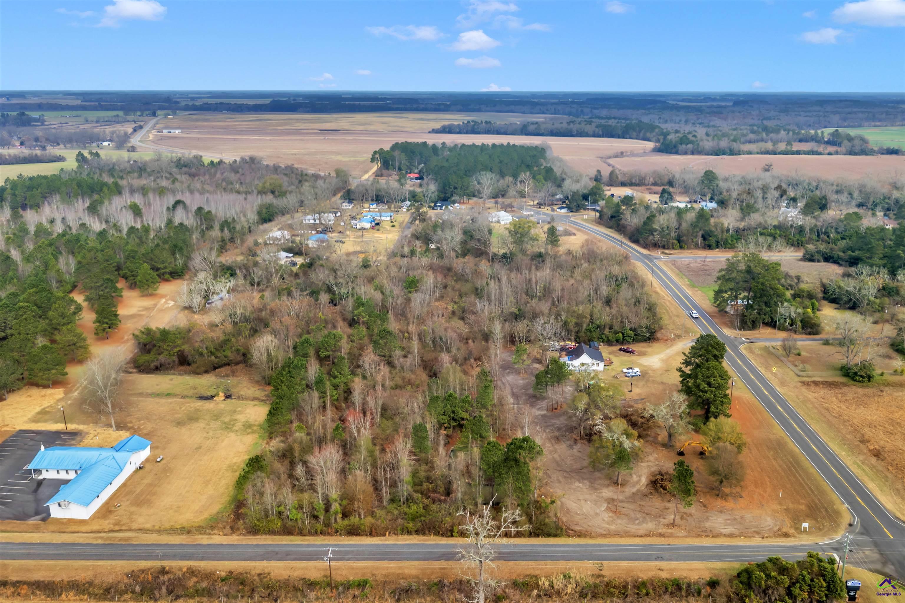 0 Mt Calvery Church Road Pineview, GA 31071 - Photo 6 of 10