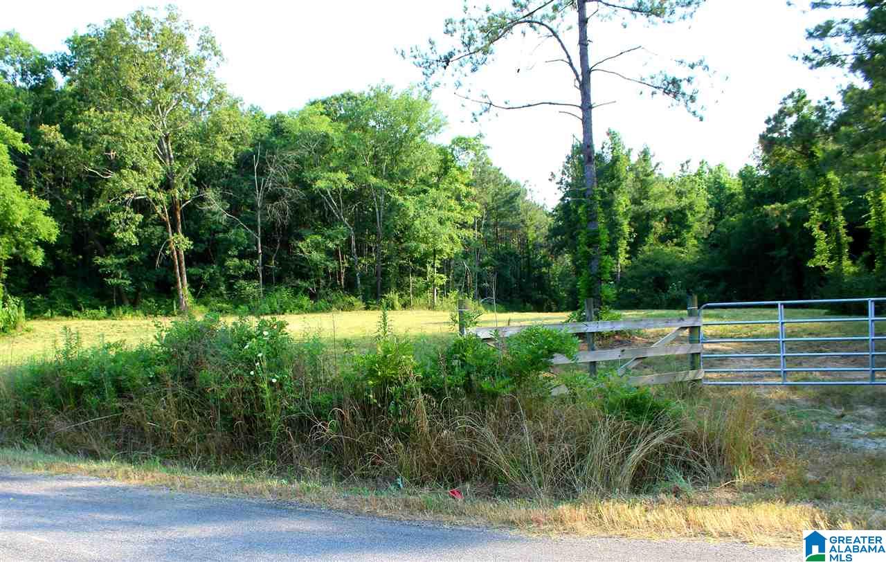 0 County Road 852 Bremen, AL 35033 - Photo 1 of 11