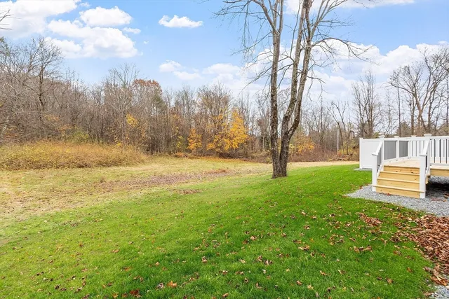 a view of a yard with large trees