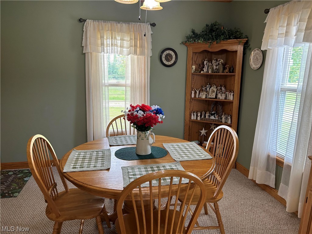 5093 Leon Road Andover, OH 44003 - Photo 19 of 19 Gallery Image 19