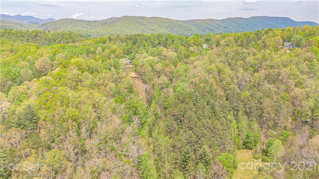 Tbd Bane Road Mills River, NC 28759 - Photo 14 of 28 a view of mountain with an outdoor space