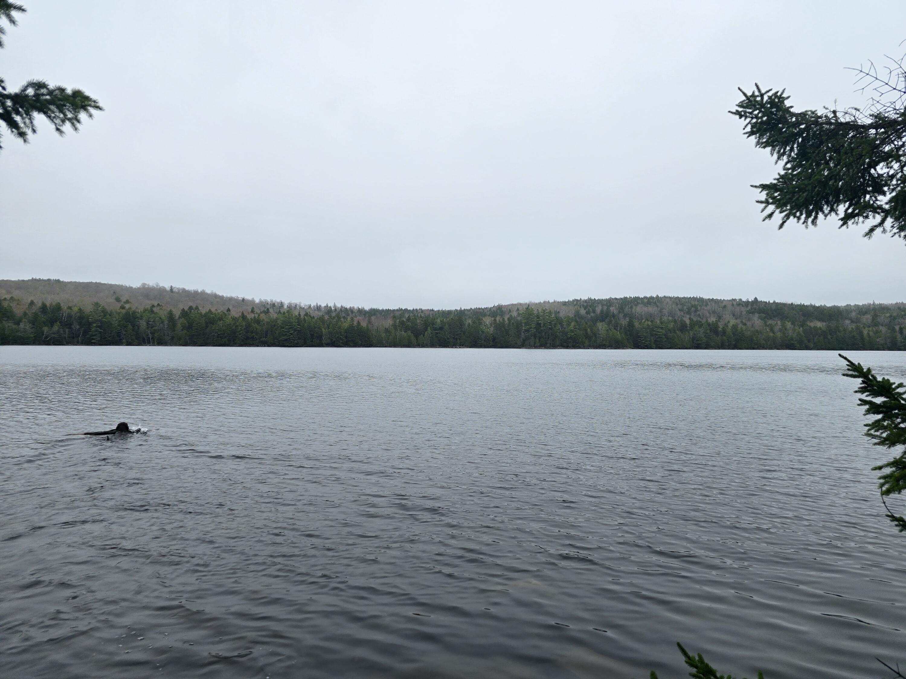 Lot M Howard Lk Road Robbinston, ME 04671 - Photo 1 of 8 20250507_132716