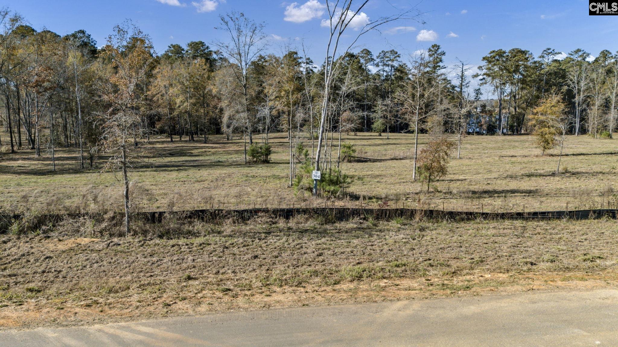 0 Navigator Trail Prosperity, SC 29127 - Photo 3 of 29